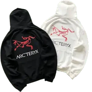 Palace x Arc'teryx Hoodie #2