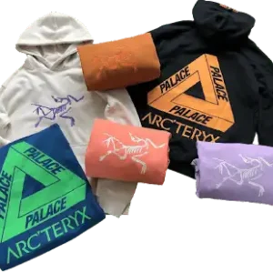 Palace x Arc'teryx Hoodie #3