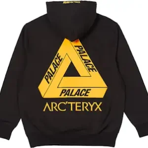 Palace x Arc'teryx Hoodie #1
