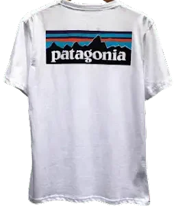 Patagonia Tee