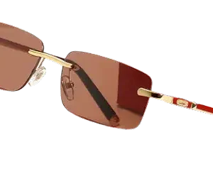 Cartier Sunglasses #2 (27 Variants)